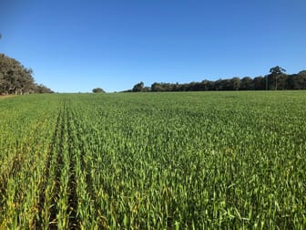 Lot 22 Clackline-Toodyay Road Hoddys Well WA 6566 - Image 2