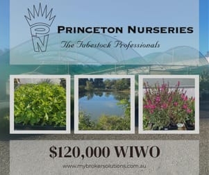 Nursery  business for sale in Peats Ridge - Image 1