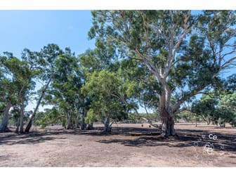 1261 Black Hill Road Cambrai SA 5353 - Image 2