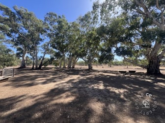1261 Black Hill Road Cambrai SA 5353 - Image 3