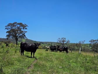 Lot 32 Haden Crows Nest Rd Pinelands QLD 4355 - Image 3
