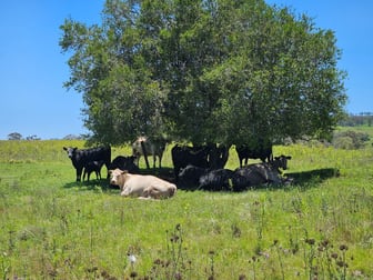Lot 32 Haden Crows Nest Rd Pinelands QLD 4355 - Image 2
