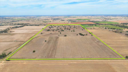 "Armagh Park" Avalon Road Deniliquin NSW 2710 - Image 1