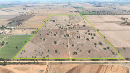 "Armagh Park" Avalon Road Deniliquin NSW 2710 - Image 2