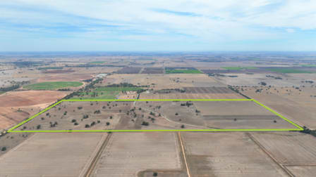 "Armagh Park" Avalon Road Deniliquin NSW 2710 - Image 3