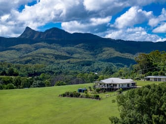 68 Tyalgum Creek Road Tyalgum Creek NSW 2484 - Image 3