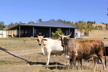 1854 Glenlyon Dam Road Mingoola QLD 4380 - Image 1