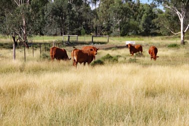 782 Floods Road Dululu QLD 4702 - Image 1