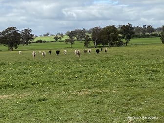 401 York-Williams Road Dale WA 6304 - Image 3