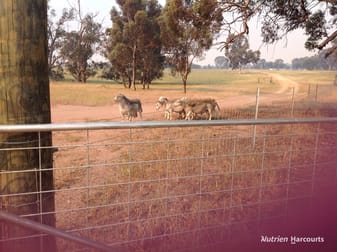 401 York-Williams Road Dale WA 6304 - Image 2