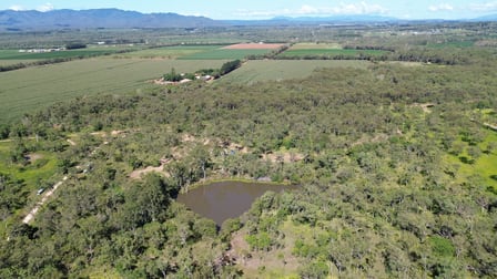 479 Marnane Road Tolga QLD 4882 - Image 3