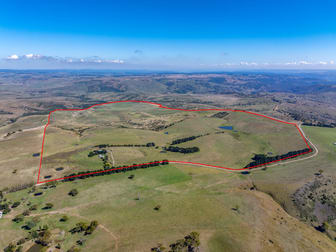 675 Levels Road Golspie NSW 2580 - Image 3