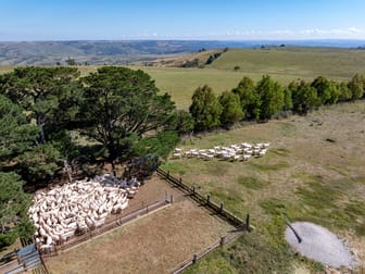 675 Levels Road Golspie NSW 2580 - Image 1