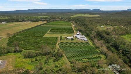 733 Bilwon Road Biboohra QLD 4880 - Image 3