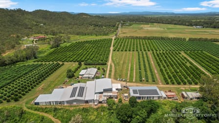 733 Bilwon Road Biboohra QLD 4880 - Image 1
