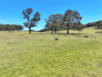 1393 Middle Arm Road Goulburn NSW 2580 - Image 1