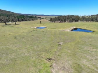 1393 Middle Arm Road Goulburn NSW 2580 - Image 3