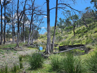 Lot 2 Stanthorpe Texas Road Stanthorpe QLD 4380 - Image 1
