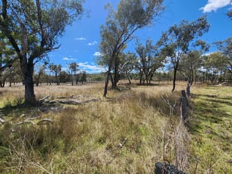 Lot 2 Stanthorpe Texas Road Stanthorpe QLD 4380 - Image 3