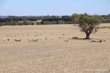 Lot 2 Mount Blackwood Road Korobeit VIC 3341 - Image 3