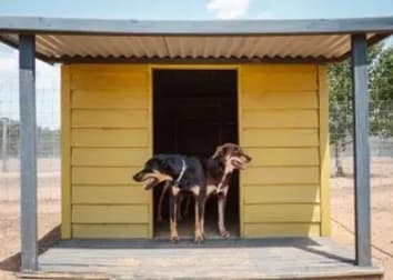 Boarding Kennels  business for sale in Heathcote - Image 3