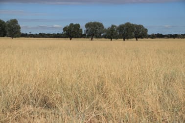 13724 Mitchell - St George Rd St George QLD 4487 - Image 2
