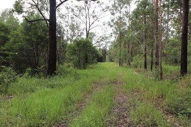 Lot 92 Tamban Road Collombatti NSW 2440 - Image 3