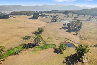99 Warringa Road Preston TAS 7315 - Image 3