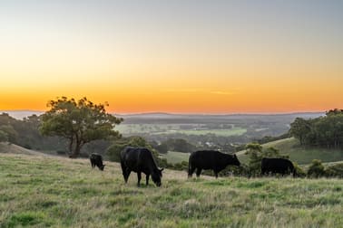308 Whites Road Meadows SA 5201 - Image 2