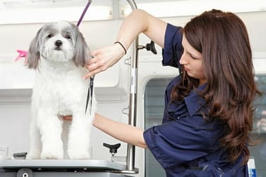Animal Related  business for sale in Toorak - Image 1
