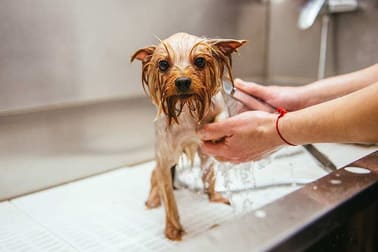 Animal Related  business for sale in Toorak - Image 1