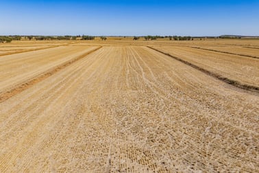 102 Murrami Road Murrami NSW 2705 - Image 3