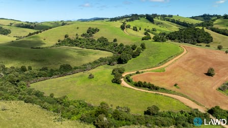 507 Shephards Road Dorrigo NSW 2453 - Image 3