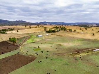 196 Court Farm Road Buckland TAS 7190 - Image 1