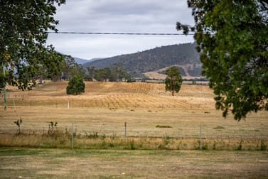 196 Court Farm Road Buckland TAS 7190 - Image 2