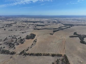 Lot 8 Dunolly-Orville Road Murphys Creek VIC 3551 - Image 2