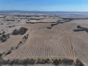 Lot 8 Dunolly-Orville Road Murphys Creek VIC 3551 - Image 3