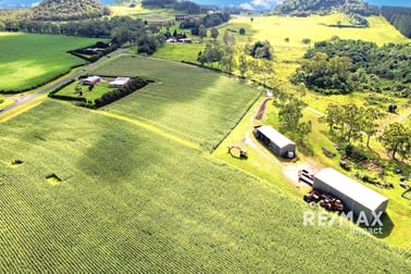 4749 Gillies Range Road East Barron QLD 4883 - Image 3