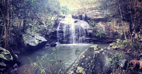 Click to view all images Bandon Grove NSW 2420 - Image 2