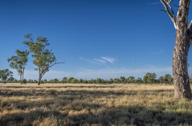 4550 Bollon Dirranbandi Road Dirranbandi QLD 4486 - Image 1