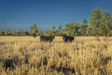 4550 Bollon Dirranbandi Road Dirranbandi QLD 4486 - Image 2