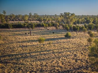 4550 Bollon Dirranbandi Road Dirranbandi QLD 4486 - Image 3