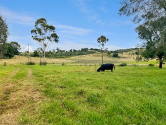 Lot 424 Gardiners Road Yarraman QLD 4614 - Image 3