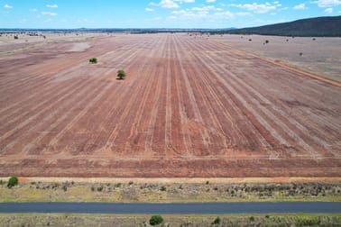 2190 Yarrabandai Road Trundle NSW 2875 - Image 3