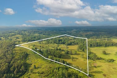 255 Doyles River Rd Elands NSW 2429 - Image 2