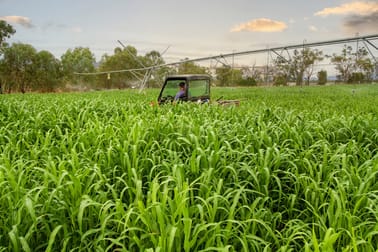 1480 Oxley Highway Tamworth NSW 2340 - Image 3