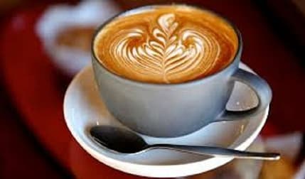 Food, Beverage & Hospitality  business for sale in Glebe - Image 1