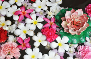 Health Spa  business for sale in Noosa Heads - Image 1