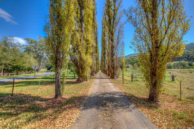 924 Morses Creek Road Wandiligong VIC 3744 - Image 3