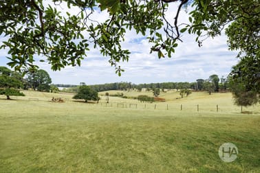 14 Prossors Lane Red Hill VIC 3937 - Image 3